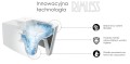Poglądowa grafika systemu Rimless